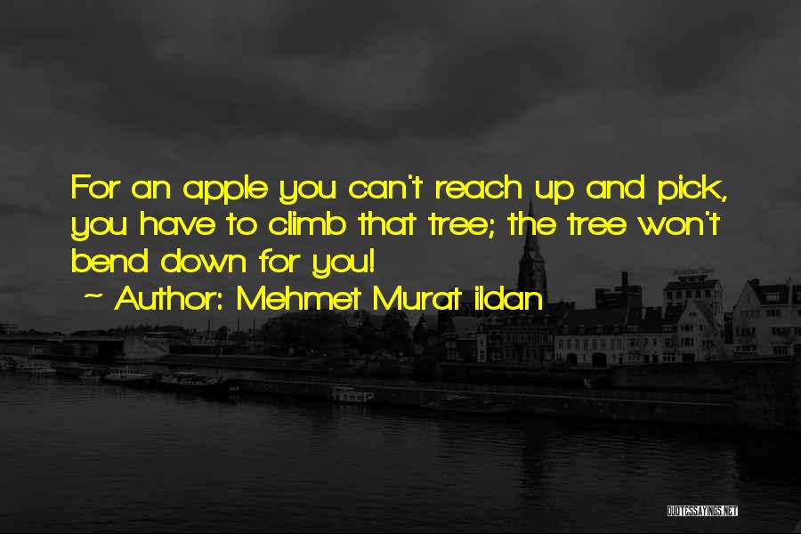 Mehmet Murat Ildan Quotes: For An Apple You Can't Reach Up And Pick, You Have To Climb That Tree; The Tree Won't Bend Down