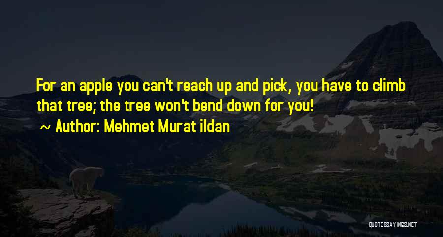 Mehmet Murat Ildan Quotes: For An Apple You Can't Reach Up And Pick, You Have To Climb That Tree; The Tree Won't Bend Down