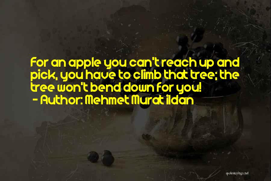 Mehmet Murat Ildan Quotes: For An Apple You Can't Reach Up And Pick, You Have To Climb That Tree; The Tree Won't Bend Down