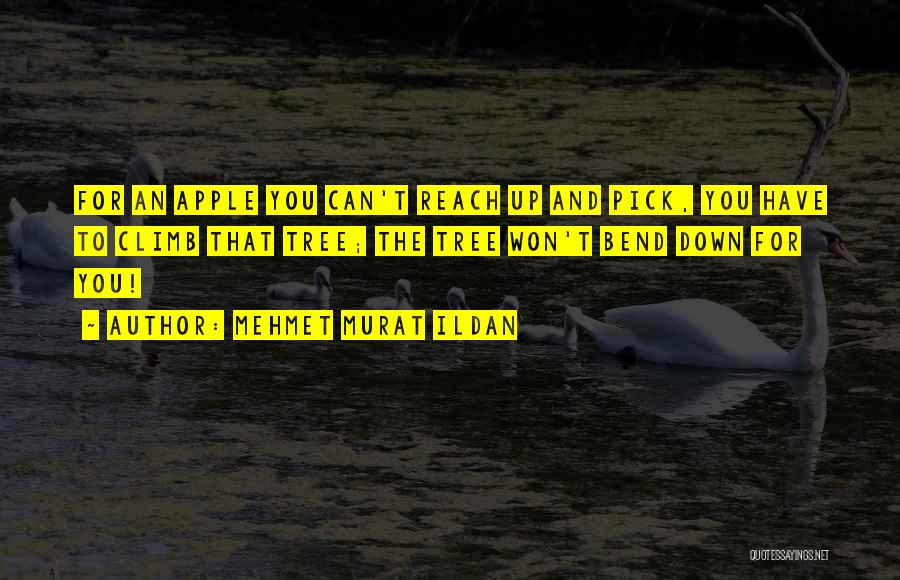 Mehmet Murat Ildan Quotes: For An Apple You Can't Reach Up And Pick, You Have To Climb That Tree; The Tree Won't Bend Down