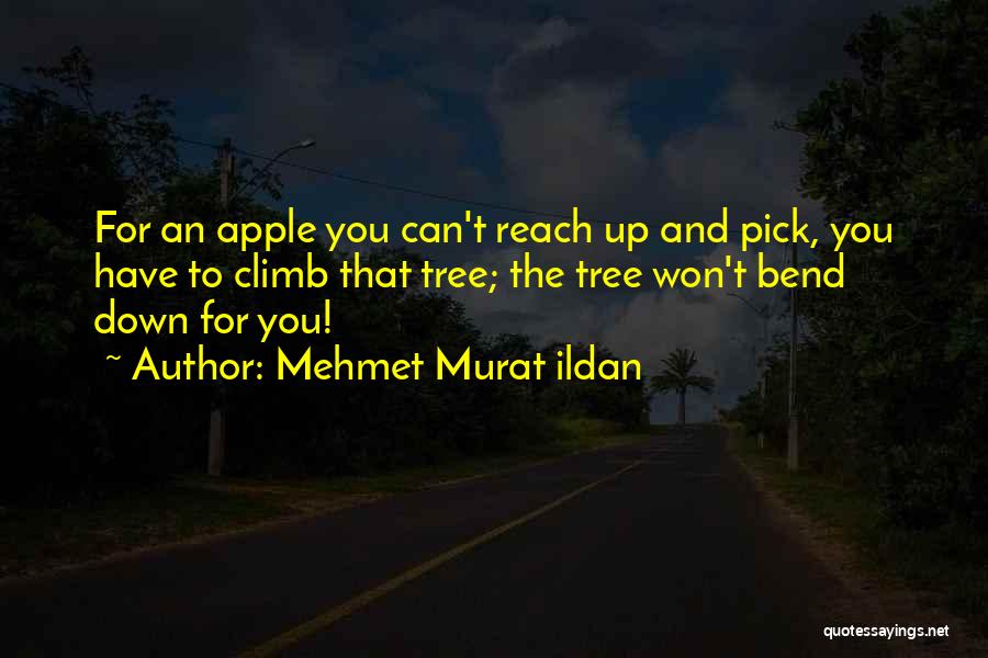 Mehmet Murat Ildan Quotes: For An Apple You Can't Reach Up And Pick, You Have To Climb That Tree; The Tree Won't Bend Down