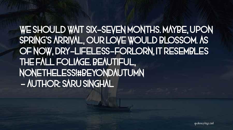 Saru Singhal Quotes: We Should Wait Six-seven Months. Maybe, Upon Spring's Arrival, Our Love Would Blossom. As Of Now, Dry-lifeless-forlorn, It Resembles The