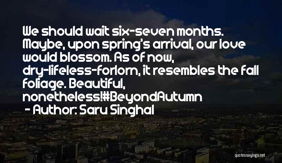 Saru Singhal Quotes: We Should Wait Six-seven Months. Maybe, Upon Spring's Arrival, Our Love Would Blossom. As Of Now, Dry-lifeless-forlorn, It Resembles The