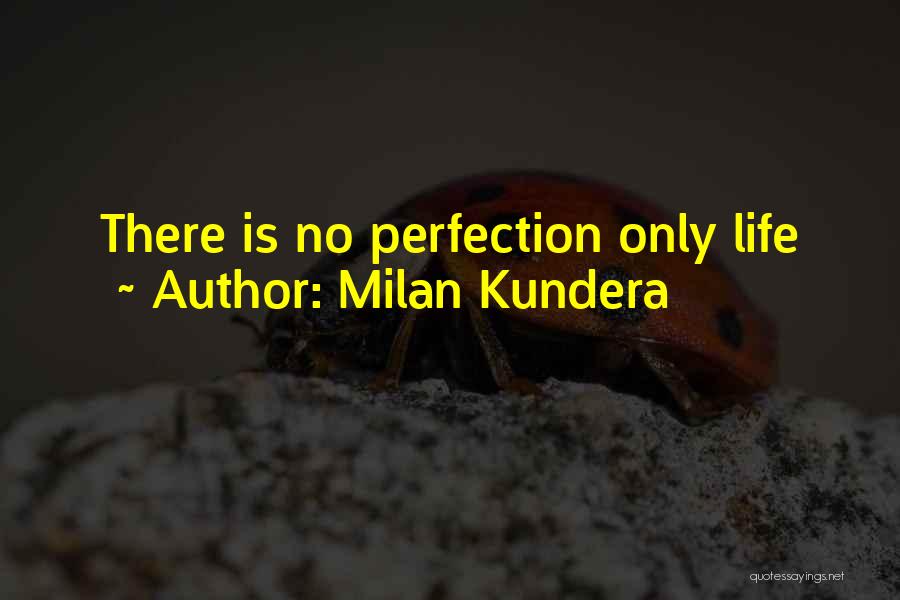 Milan Kundera Quotes: There Is No Perfection Only Life