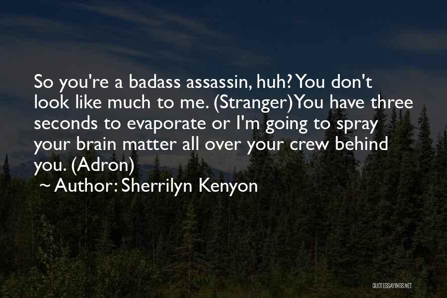 Sherrilyn Kenyon Quotes: So You're A Badass Assassin, Huh? You Don't Look Like Much To Me. (stranger)you Have Three Seconds To Evaporate Or