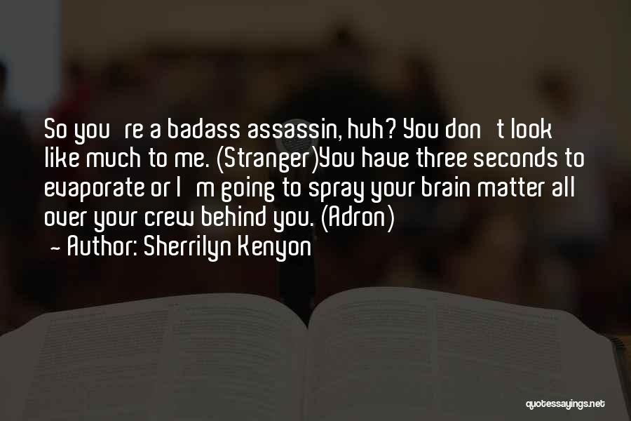 Sherrilyn Kenyon Quotes: So You're A Badass Assassin, Huh? You Don't Look Like Much To Me. (stranger)you Have Three Seconds To Evaporate Or
