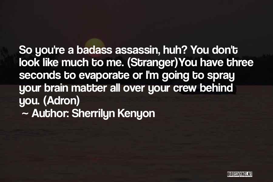 Sherrilyn Kenyon Quotes: So You're A Badass Assassin, Huh? You Don't Look Like Much To Me. (stranger)you Have Three Seconds To Evaporate Or