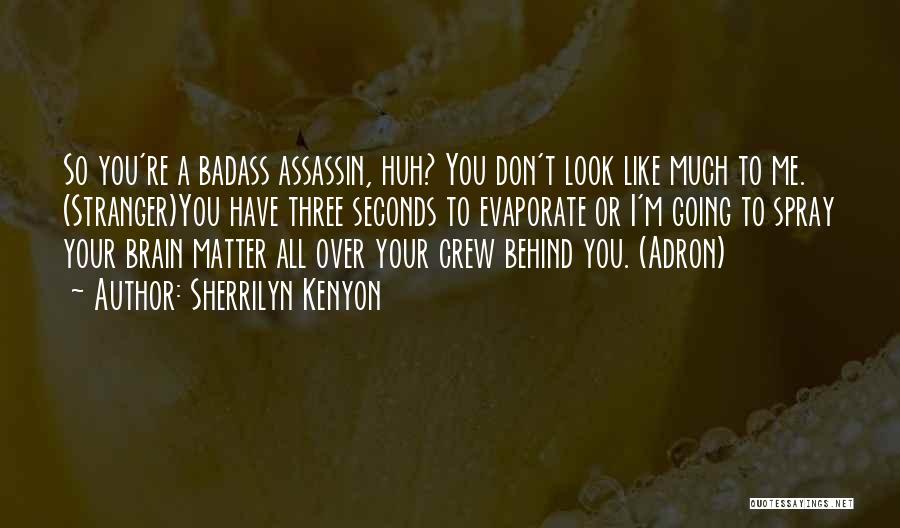 Sherrilyn Kenyon Quotes: So You're A Badass Assassin, Huh? You Don't Look Like Much To Me. (stranger)you Have Three Seconds To Evaporate Or