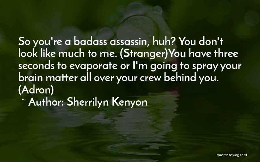 Sherrilyn Kenyon Quotes: So You're A Badass Assassin, Huh? You Don't Look Like Much To Me. (stranger)you Have Three Seconds To Evaporate Or