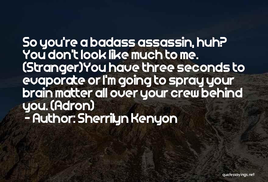 Sherrilyn Kenyon Quotes: So You're A Badass Assassin, Huh? You Don't Look Like Much To Me. (stranger)you Have Three Seconds To Evaporate Or