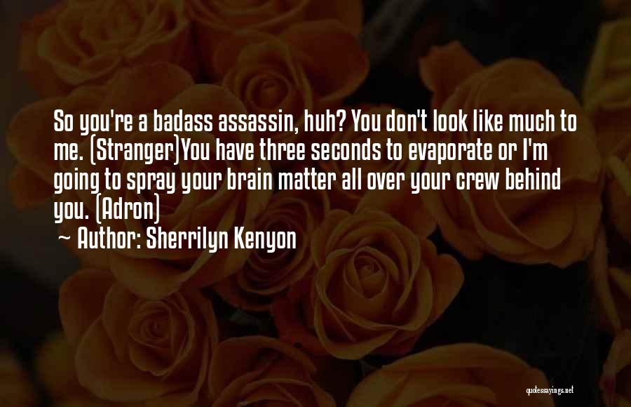 Sherrilyn Kenyon Quotes: So You're A Badass Assassin, Huh? You Don't Look Like Much To Me. (stranger)you Have Three Seconds To Evaporate Or