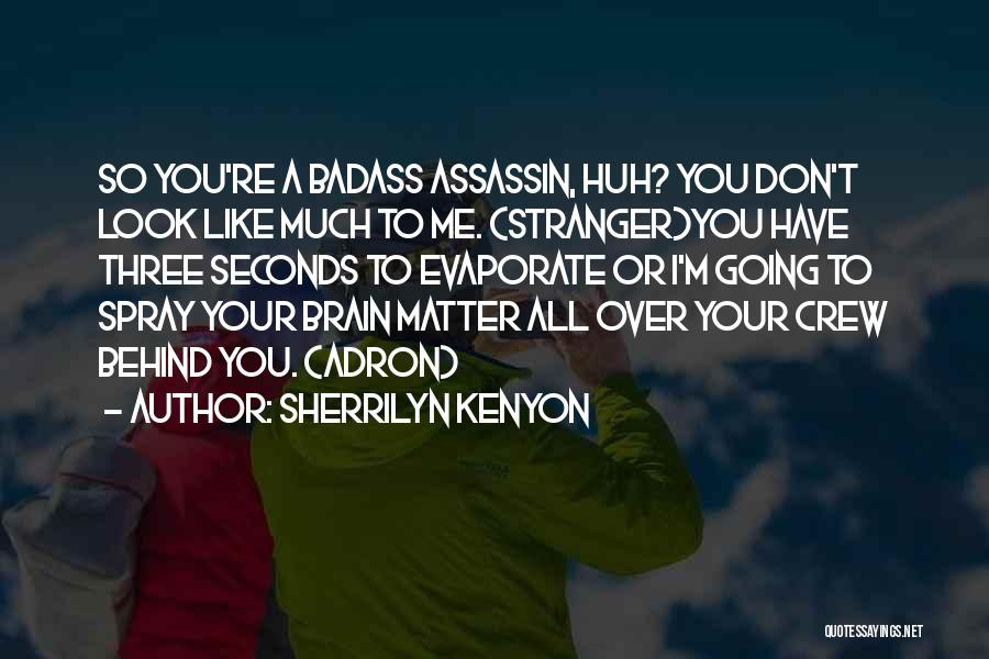 Sherrilyn Kenyon Quotes: So You're A Badass Assassin, Huh? You Don't Look Like Much To Me. (stranger)you Have Three Seconds To Evaporate Or
