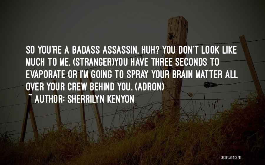 Sherrilyn Kenyon Quotes: So You're A Badass Assassin, Huh? You Don't Look Like Much To Me. (stranger)you Have Three Seconds To Evaporate Or