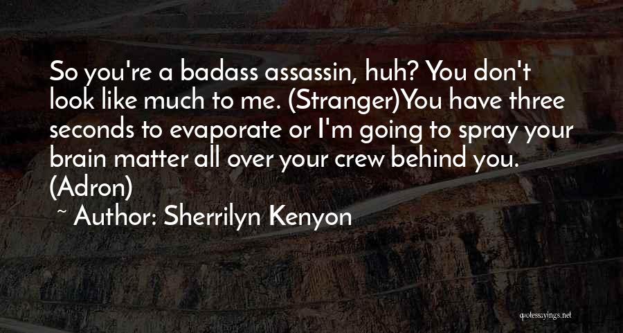 Sherrilyn Kenyon Quotes: So You're A Badass Assassin, Huh? You Don't Look Like Much To Me. (stranger)you Have Three Seconds To Evaporate Or