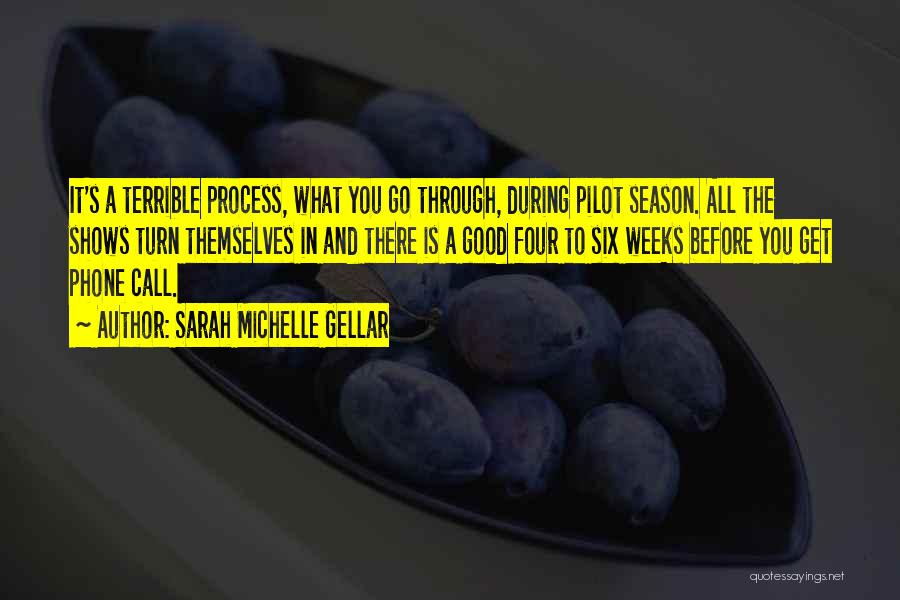 Sarah Michelle Gellar Quotes: It's A Terrible Process, What You Go Through, During Pilot Season. All The Shows Turn Themselves In And There Is