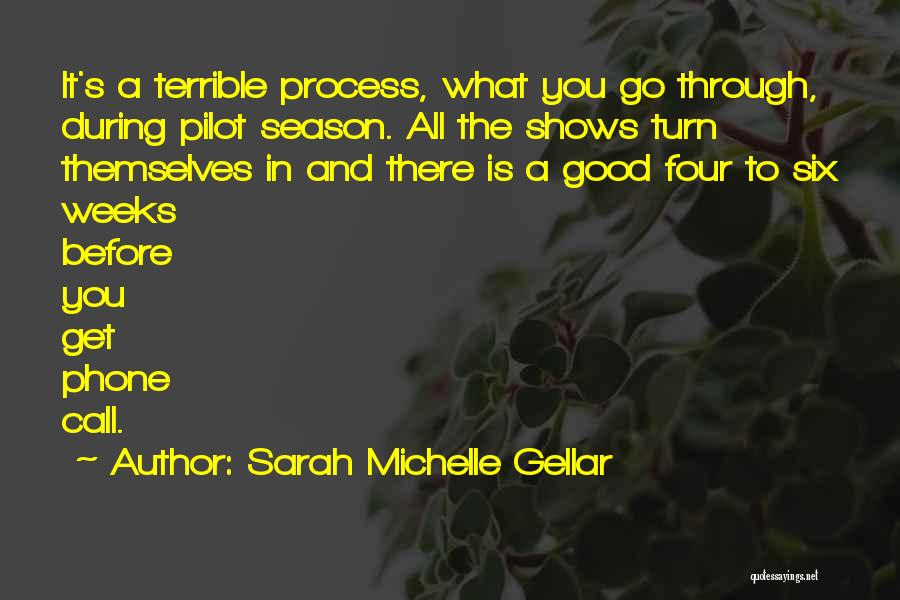 Sarah Michelle Gellar Quotes: It's A Terrible Process, What You Go Through, During Pilot Season. All The Shows Turn Themselves In And There Is