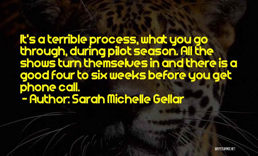 Sarah Michelle Gellar Quotes: It's A Terrible Process, What You Go Through, During Pilot Season. All The Shows Turn Themselves In And There Is