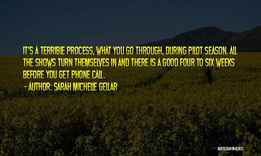 Sarah Michelle Gellar Quotes: It's A Terrible Process, What You Go Through, During Pilot Season. All The Shows Turn Themselves In And There Is