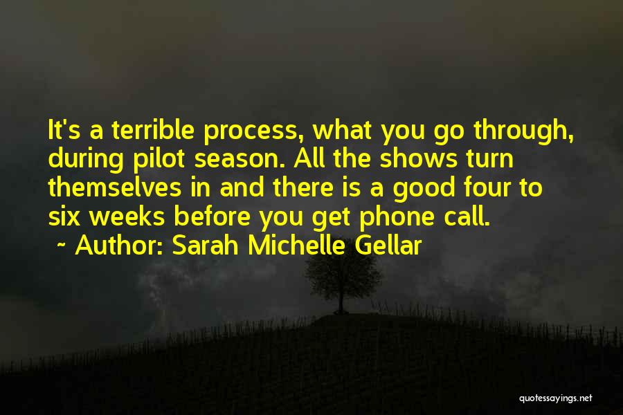 Sarah Michelle Gellar Quotes: It's A Terrible Process, What You Go Through, During Pilot Season. All The Shows Turn Themselves In And There Is