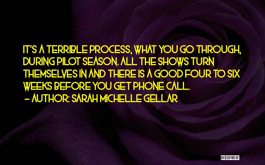 Sarah Michelle Gellar Quotes: It's A Terrible Process, What You Go Through, During Pilot Season. All The Shows Turn Themselves In And There Is