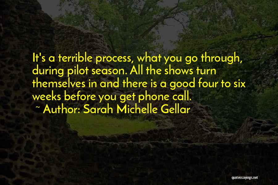 Sarah Michelle Gellar Quotes: It's A Terrible Process, What You Go Through, During Pilot Season. All The Shows Turn Themselves In And There Is