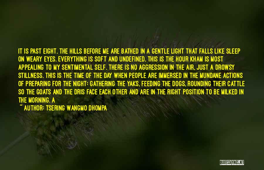 Tsering Wangmo Dhompa Quotes: It Is Past Eight. The Hills Before Me Are Bathed In A Gentle Light That Falls Like Sleep On Weary