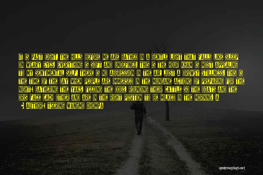 Tsering Wangmo Dhompa Quotes: It Is Past Eight. The Hills Before Me Are Bathed In A Gentle Light That Falls Like Sleep On Weary