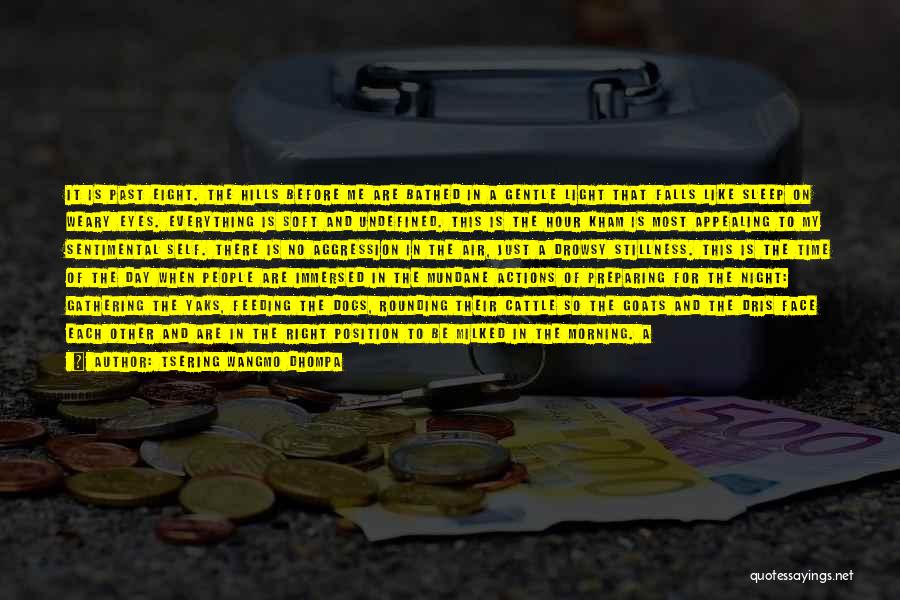 Tsering Wangmo Dhompa Quotes: It Is Past Eight. The Hills Before Me Are Bathed In A Gentle Light That Falls Like Sleep On Weary