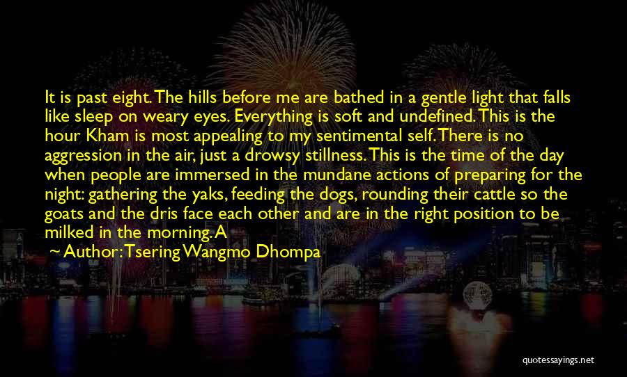 Tsering Wangmo Dhompa Quotes: It Is Past Eight. The Hills Before Me Are Bathed In A Gentle Light That Falls Like Sleep On Weary