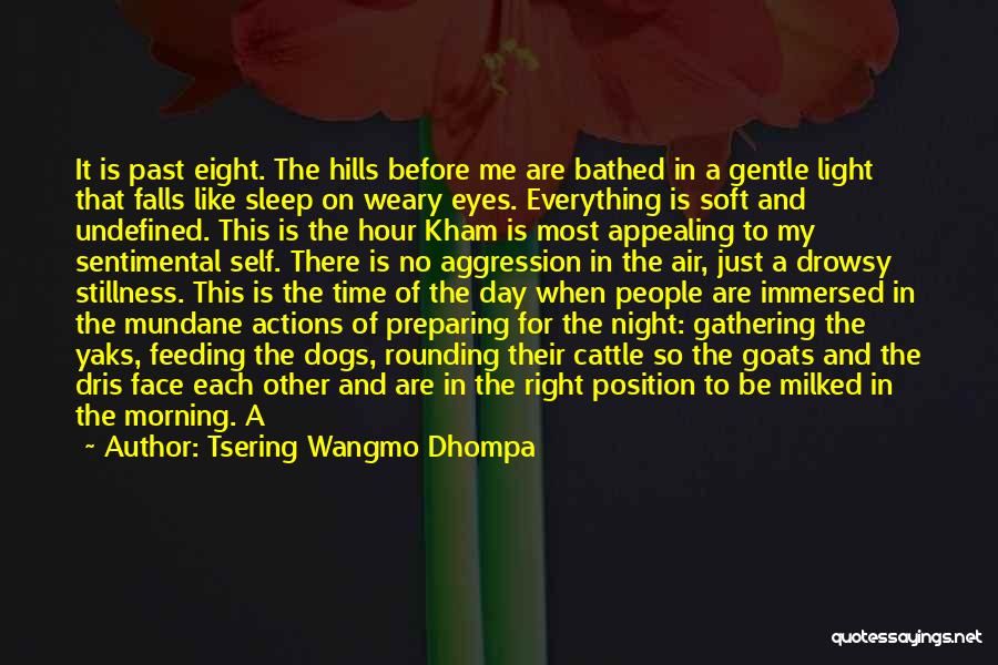 Tsering Wangmo Dhompa Quotes: It Is Past Eight. The Hills Before Me Are Bathed In A Gentle Light That Falls Like Sleep On Weary