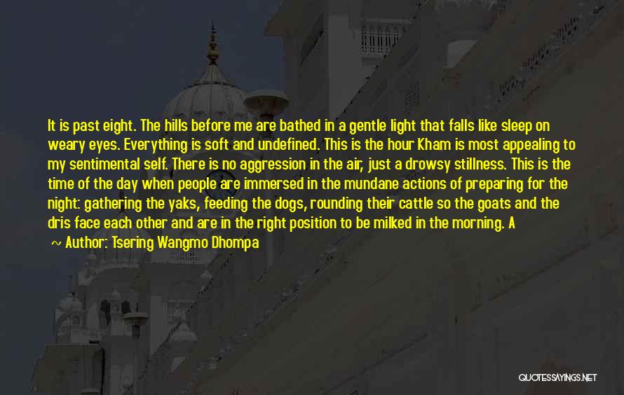 Tsering Wangmo Dhompa Quotes: It Is Past Eight. The Hills Before Me Are Bathed In A Gentle Light That Falls Like Sleep On Weary