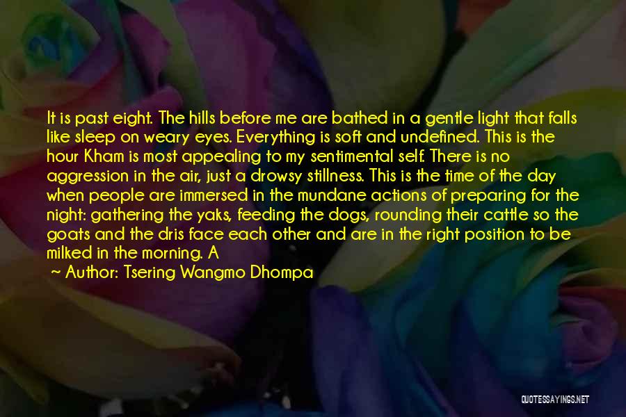 Tsering Wangmo Dhompa Quotes: It Is Past Eight. The Hills Before Me Are Bathed In A Gentle Light That Falls Like Sleep On Weary