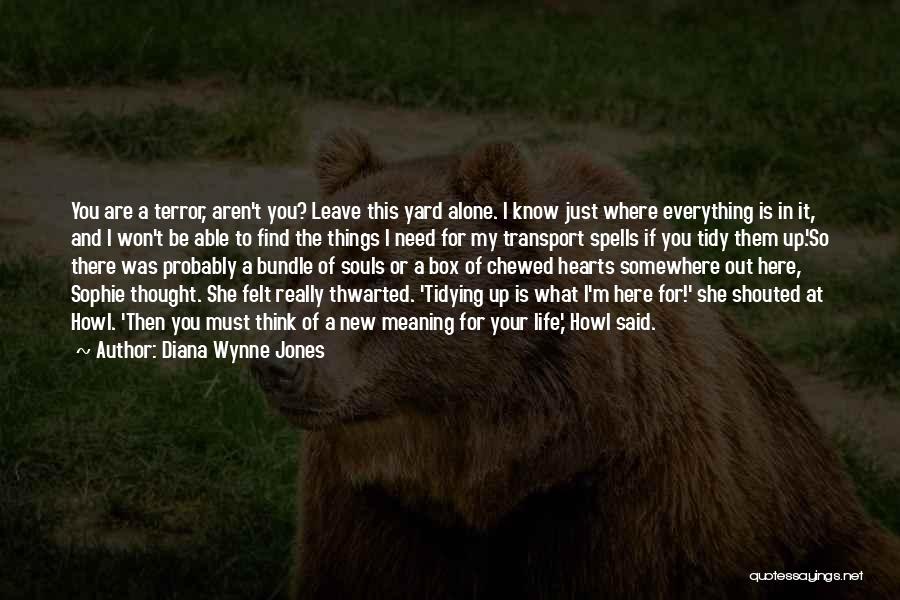 Diana Wynne Jones Quotes: You Are A Terror, Aren't You? Leave This Yard Alone. I Know Just Where Everything Is In It, And I