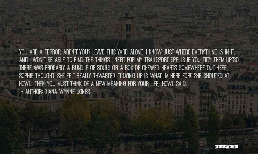 Diana Wynne Jones Quotes: You Are A Terror, Aren't You? Leave This Yard Alone. I Know Just Where Everything Is In It, And I