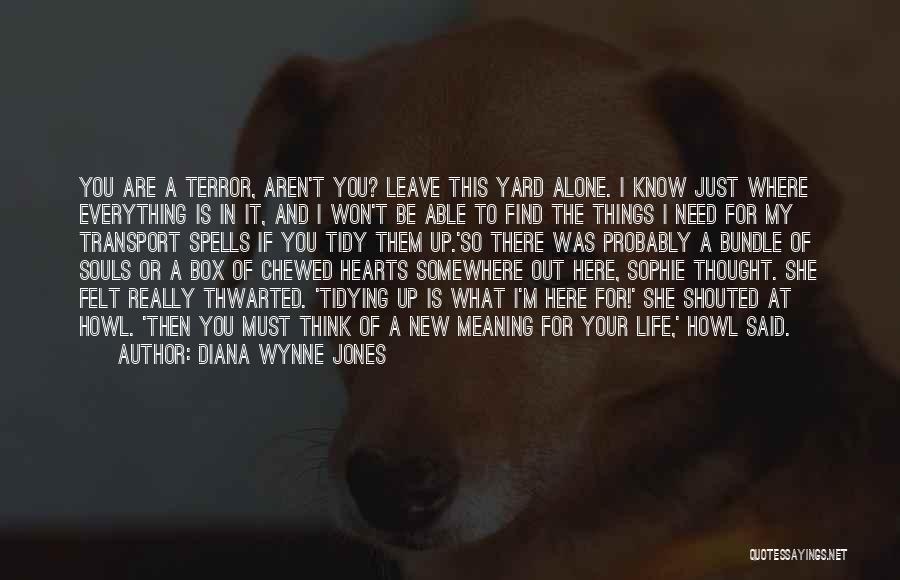 Diana Wynne Jones Quotes: You Are A Terror, Aren't You? Leave This Yard Alone. I Know Just Where Everything Is In It, And I