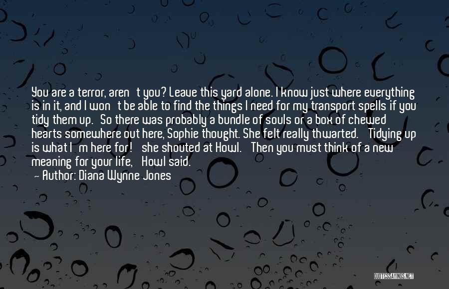 Diana Wynne Jones Quotes: You Are A Terror, Aren't You? Leave This Yard Alone. I Know Just Where Everything Is In It, And I