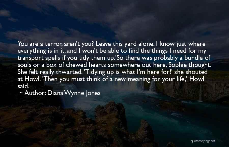 Diana Wynne Jones Quotes: You Are A Terror, Aren't You? Leave This Yard Alone. I Know Just Where Everything Is In It, And I