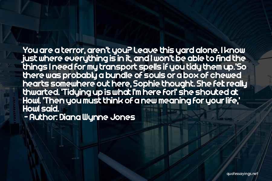 Diana Wynne Jones Quotes: You Are A Terror, Aren't You? Leave This Yard Alone. I Know Just Where Everything Is In It, And I