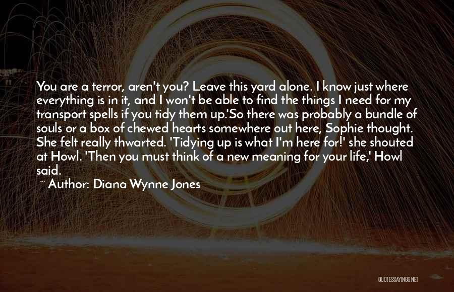 Diana Wynne Jones Quotes: You Are A Terror, Aren't You? Leave This Yard Alone. I Know Just Where Everything Is In It, And I