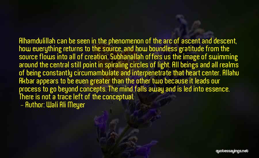 Wali Ali Meyer Quotes: Alhamdulillah Can Be Seen In The Phenomenon Of The Arc Of Ascent And Descent, How Everything Returns To The Source,