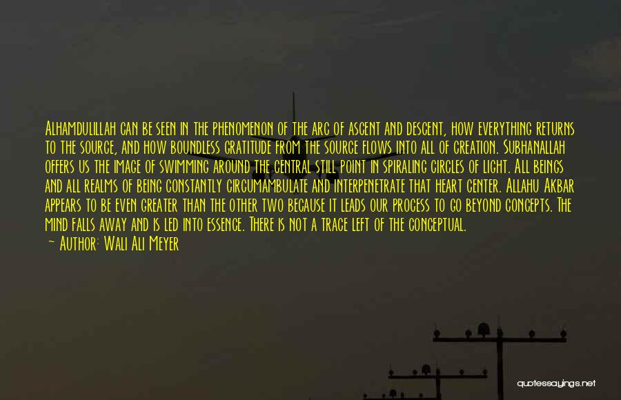 Wali Ali Meyer Quotes: Alhamdulillah Can Be Seen In The Phenomenon Of The Arc Of Ascent And Descent, How Everything Returns To The Source,