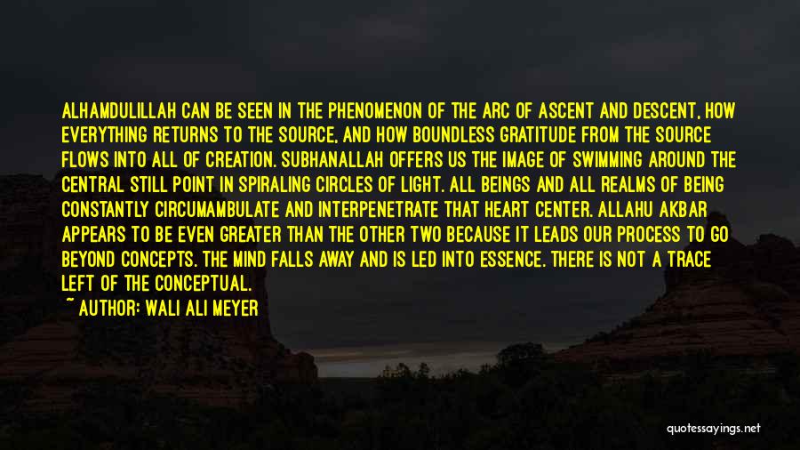 Wali Ali Meyer Quotes: Alhamdulillah Can Be Seen In The Phenomenon Of The Arc Of Ascent And Descent, How Everything Returns To The Source,