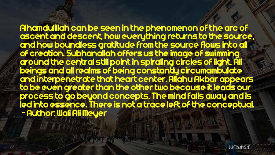 Wali Ali Meyer Quotes: Alhamdulillah Can Be Seen In The Phenomenon Of The Arc Of Ascent And Descent, How Everything Returns To The Source,