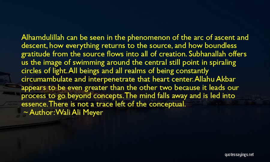 Wali Ali Meyer Quotes: Alhamdulillah Can Be Seen In The Phenomenon Of The Arc Of Ascent And Descent, How Everything Returns To The Source,