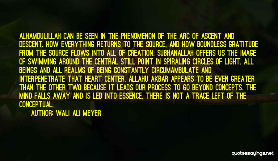 Wali Ali Meyer Quotes: Alhamdulillah Can Be Seen In The Phenomenon Of The Arc Of Ascent And Descent, How Everything Returns To The Source,