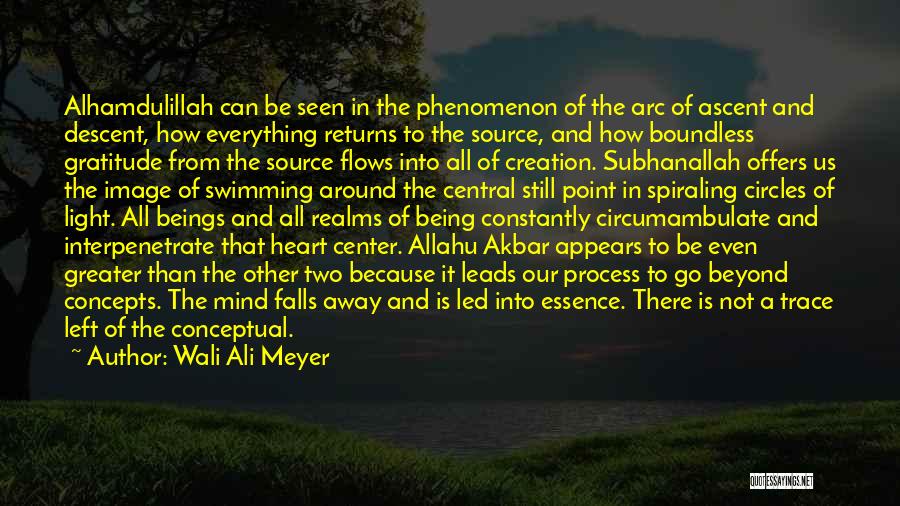 Wali Ali Meyer Quotes: Alhamdulillah Can Be Seen In The Phenomenon Of The Arc Of Ascent And Descent, How Everything Returns To The Source,