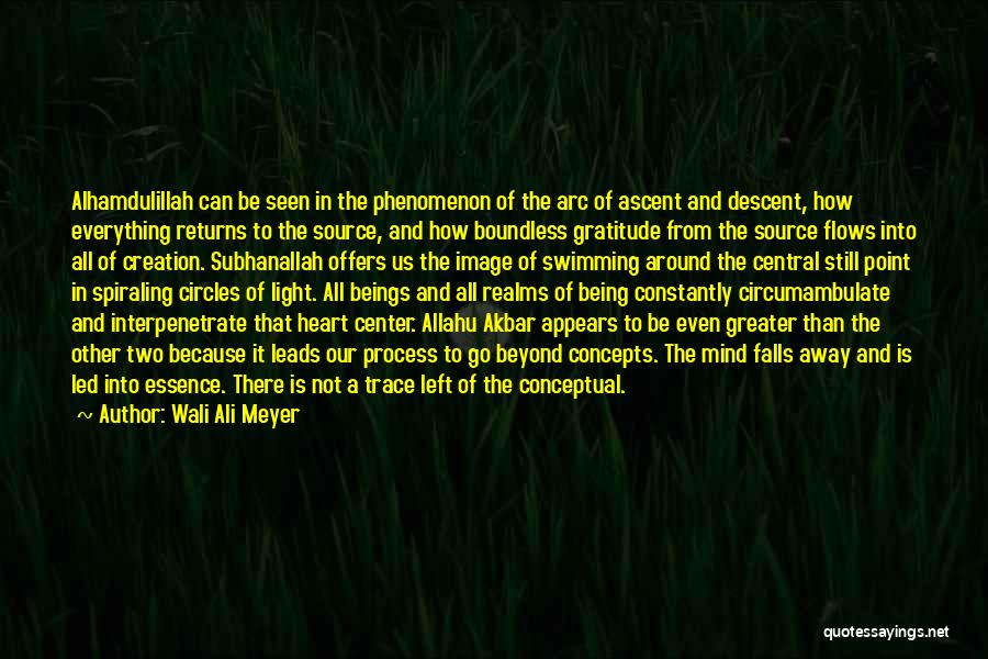 Wali Ali Meyer Quotes: Alhamdulillah Can Be Seen In The Phenomenon Of The Arc Of Ascent And Descent, How Everything Returns To The Source,