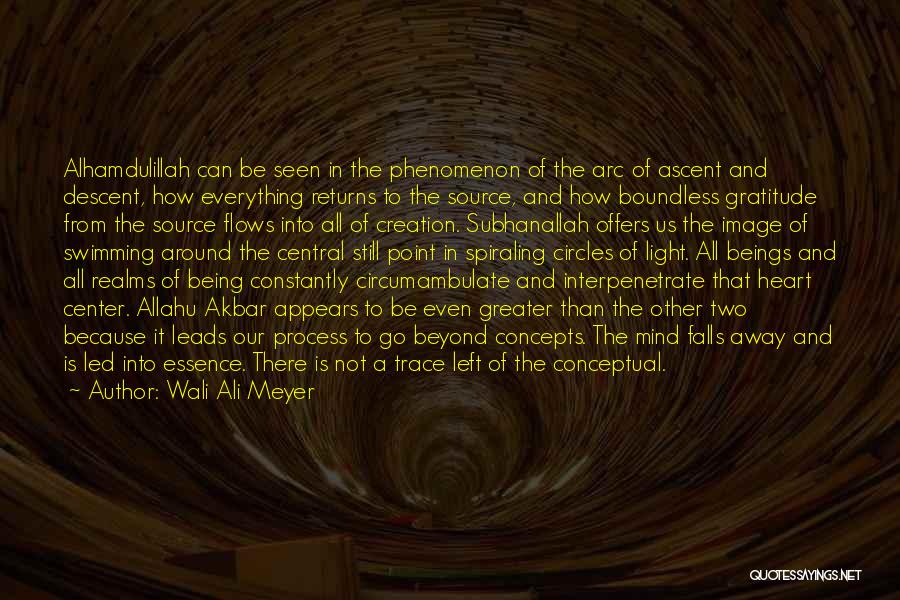 Wali Ali Meyer Quotes: Alhamdulillah Can Be Seen In The Phenomenon Of The Arc Of Ascent And Descent, How Everything Returns To The Source,