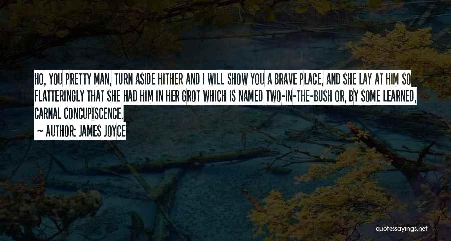 James Joyce Quotes: Ho, You Pretty Man, Turn Aside Hither And I Will Show You A Brave Place, And She Lay At Him