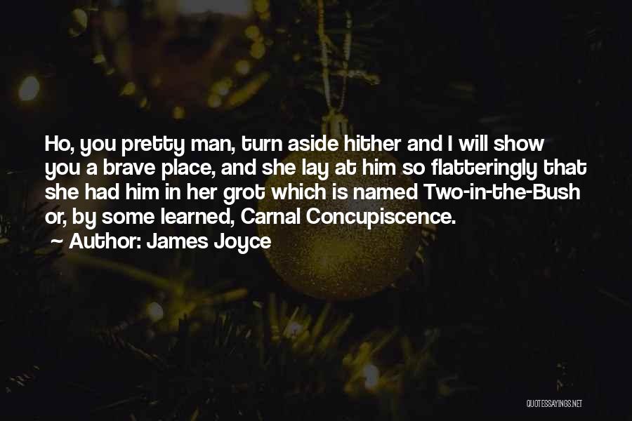 James Joyce Quotes: Ho, You Pretty Man, Turn Aside Hither And I Will Show You A Brave Place, And She Lay At Him